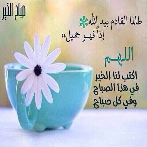 AlwahdByd's tweet photo. https://t.co/VfMAm9Xw2C