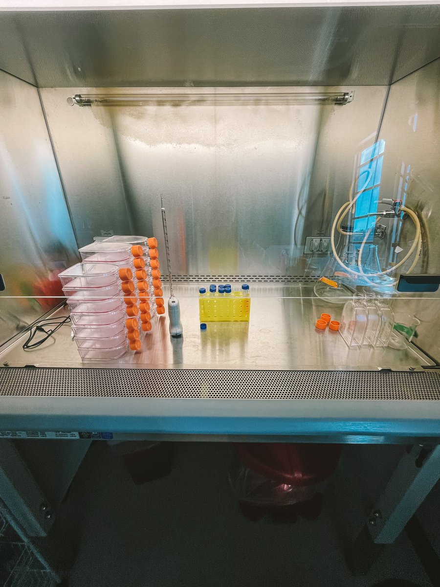 annaljoness's tweet photo. What a spring break it has been. It has been one of the most exciting, exhausting, and nerve wracking week of my life! Yet I couldn’t see myself anywhere else. I LOVE WHAT I DO!!! Thanks to @DoctorEDB Now here’s to months filled of imaging and data analysis! 👩🏻‍🔬🤍 #WomenInSTEM https://t.co/IimYjfdwy4