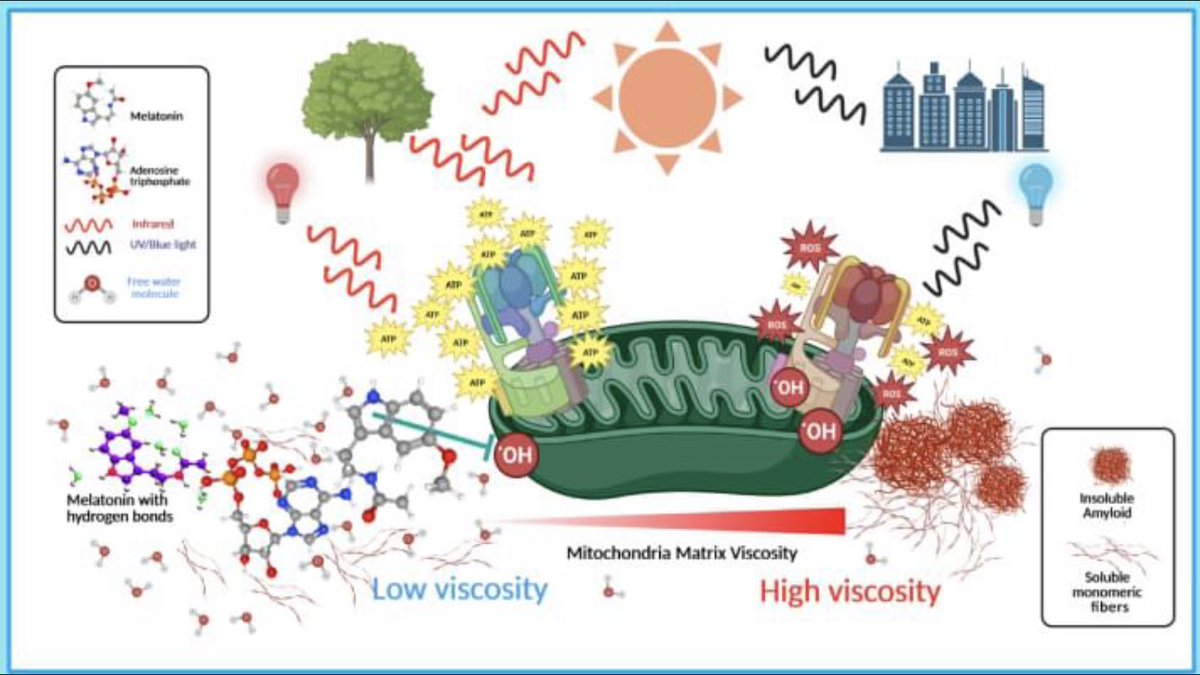 EricWHogan's tweet photo. Dr. Reiter and Doris Loh’s paper, “Light, Water, and Melatonin: The Synergistic Regulation of Phase Separation in Dementia” may be published next week. Interested in it’s discussion of high dose melatonin. https://t.co/sK7gJYoXWH