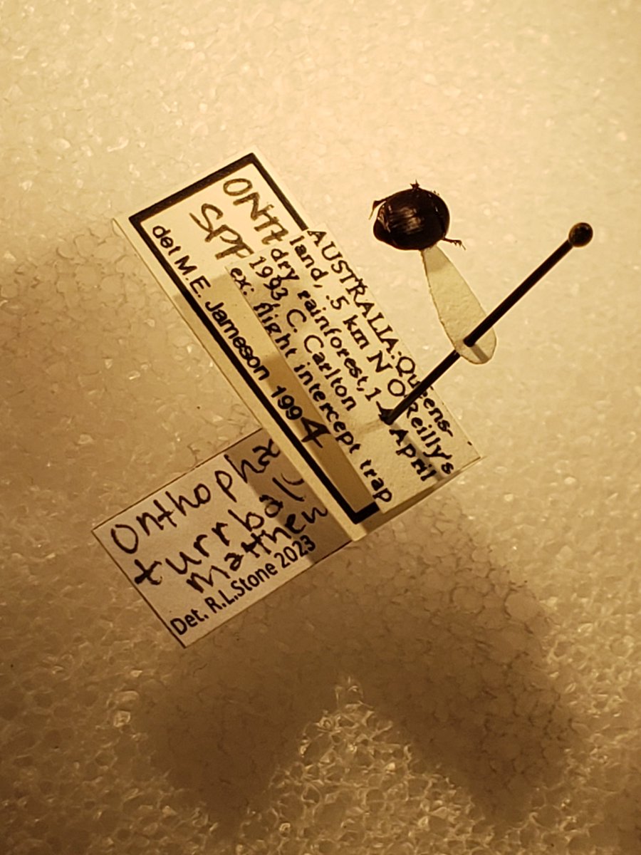 Rachel Stone tweet media