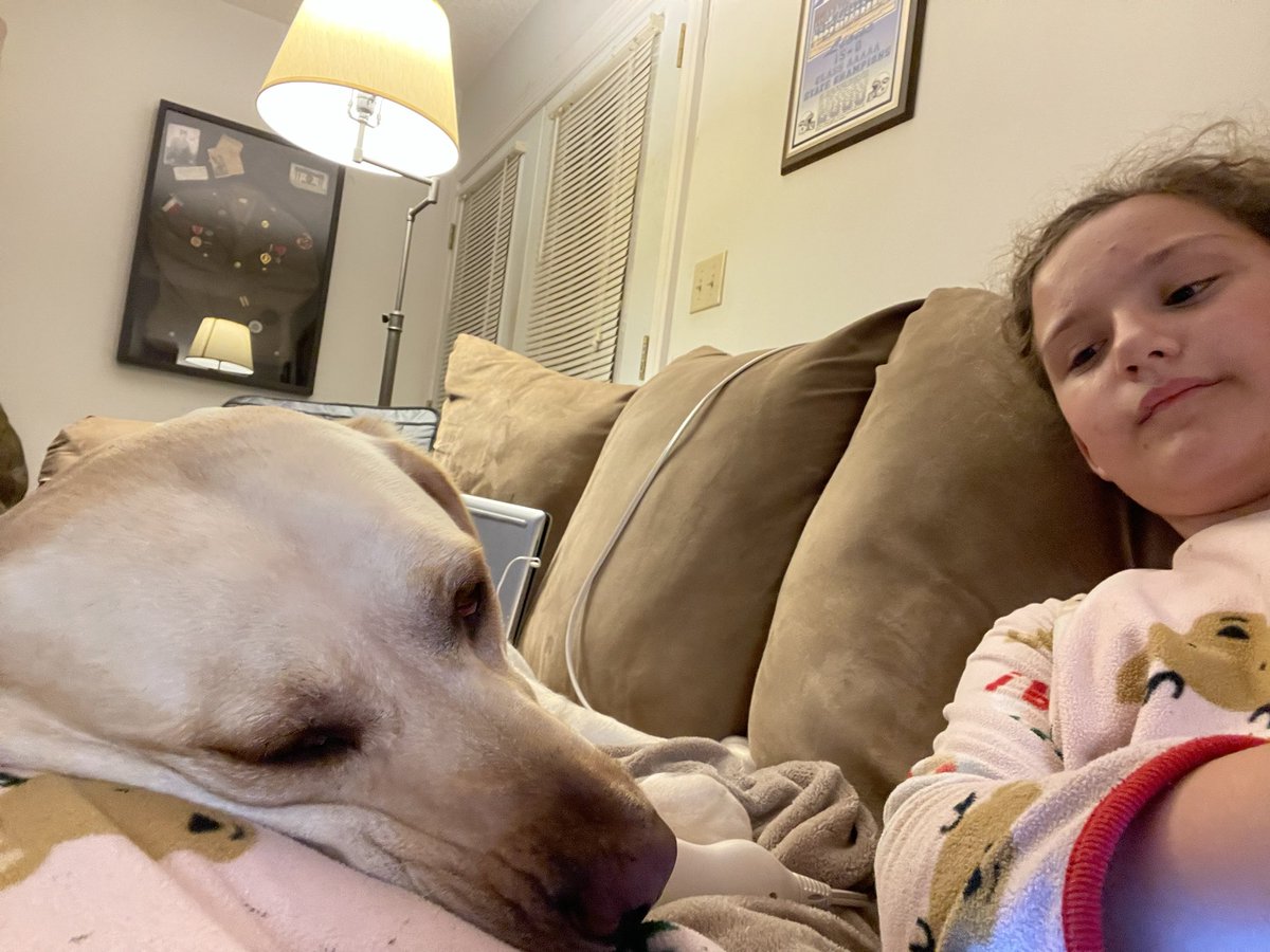 SignalSophie's tweet photo. Just 2 little girls resting together! #happypuppy #tiredgirls #dogsoftwitter https://t.co/0iRtfTpDV3