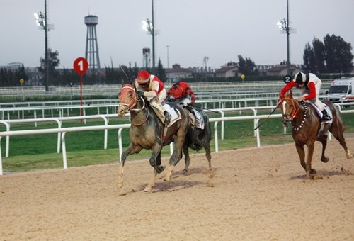 Mustafa Ünlü altınsima (@mustafa43572143) on Twitter photo 