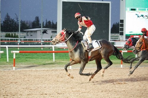 Mustafa Ünlü altınsima (@mustafa43572143) on Twitter photo 