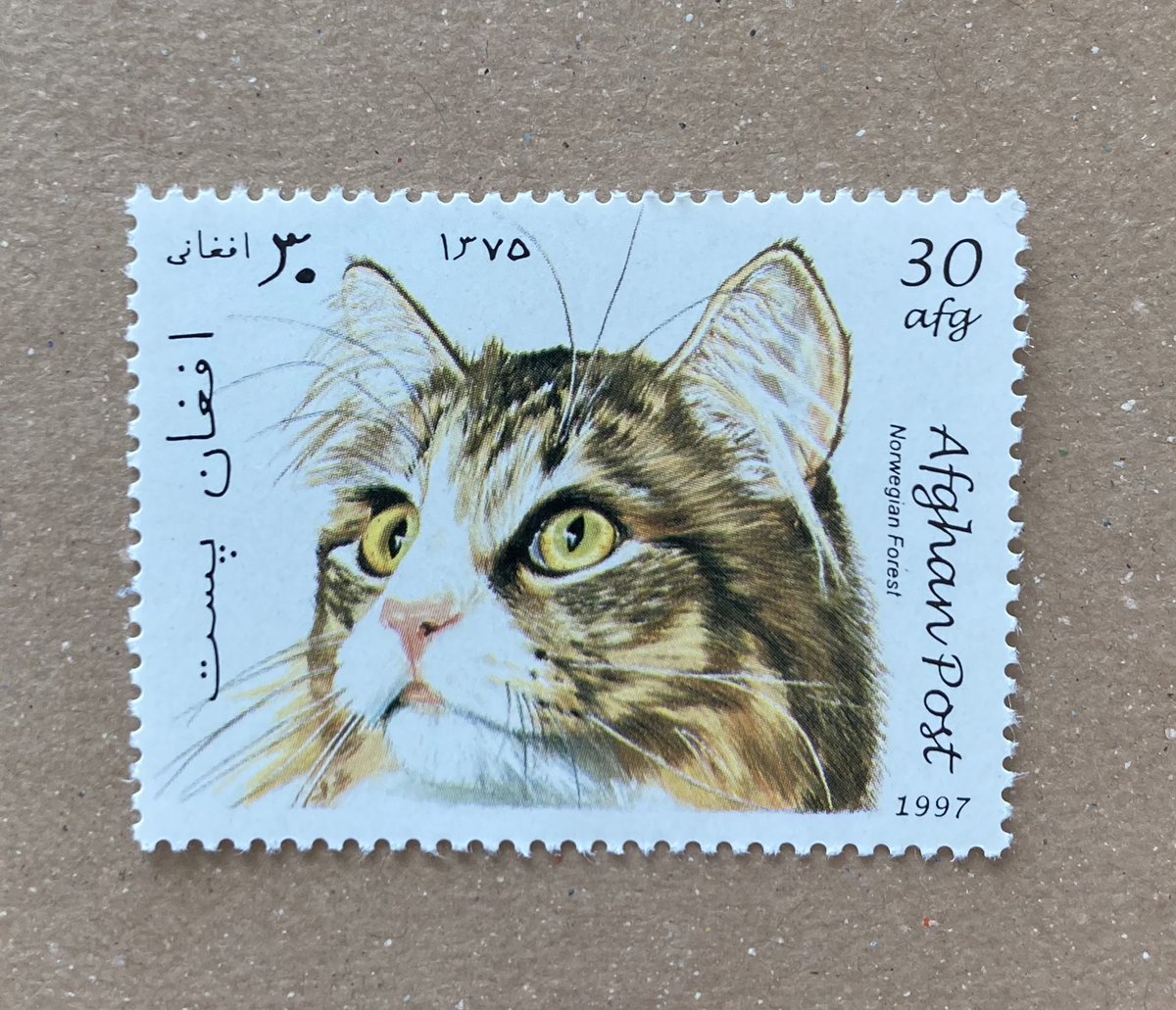 猫切手 - অনুসন্ধান / X