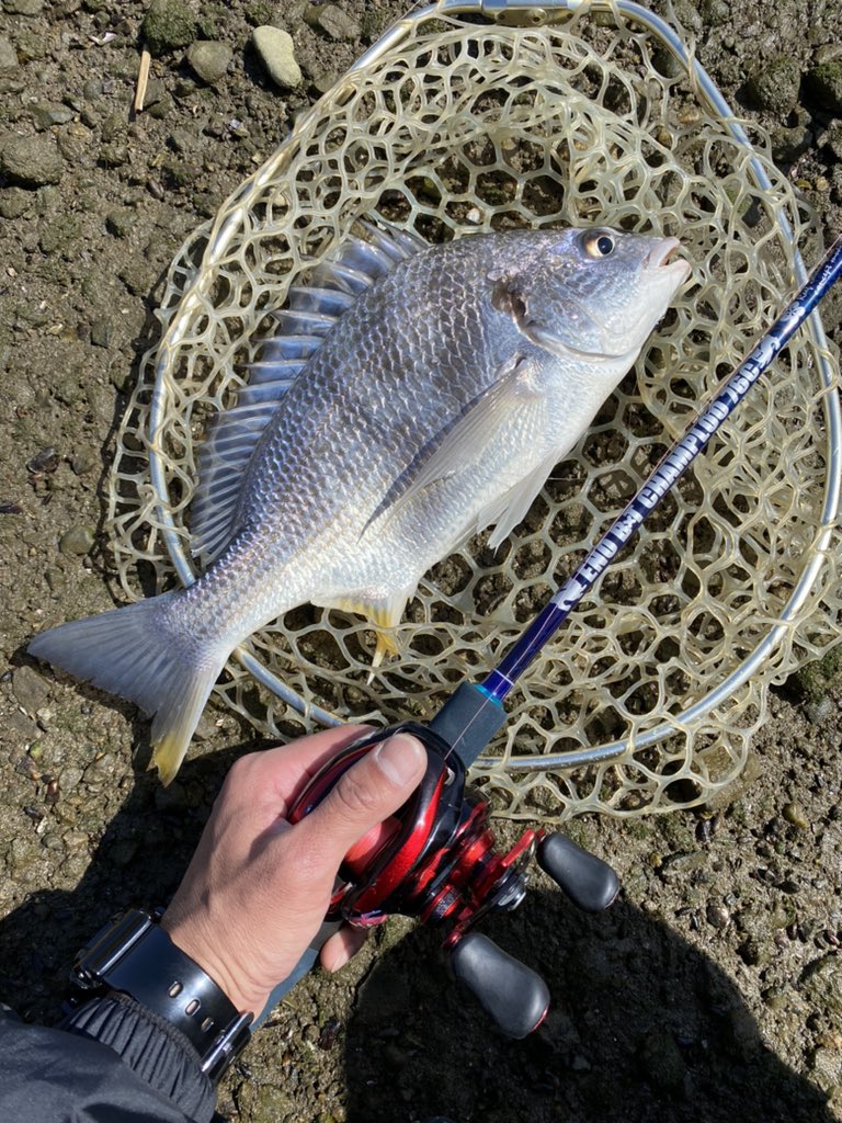 に初値下げ！ ボギー イノーロッド boggy rod 68s | www.chezmoiny.com
