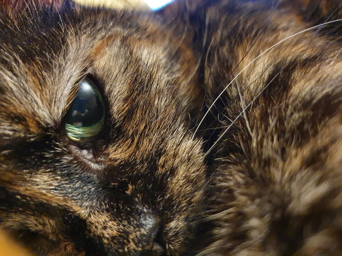 Sarah Märdian tweet media