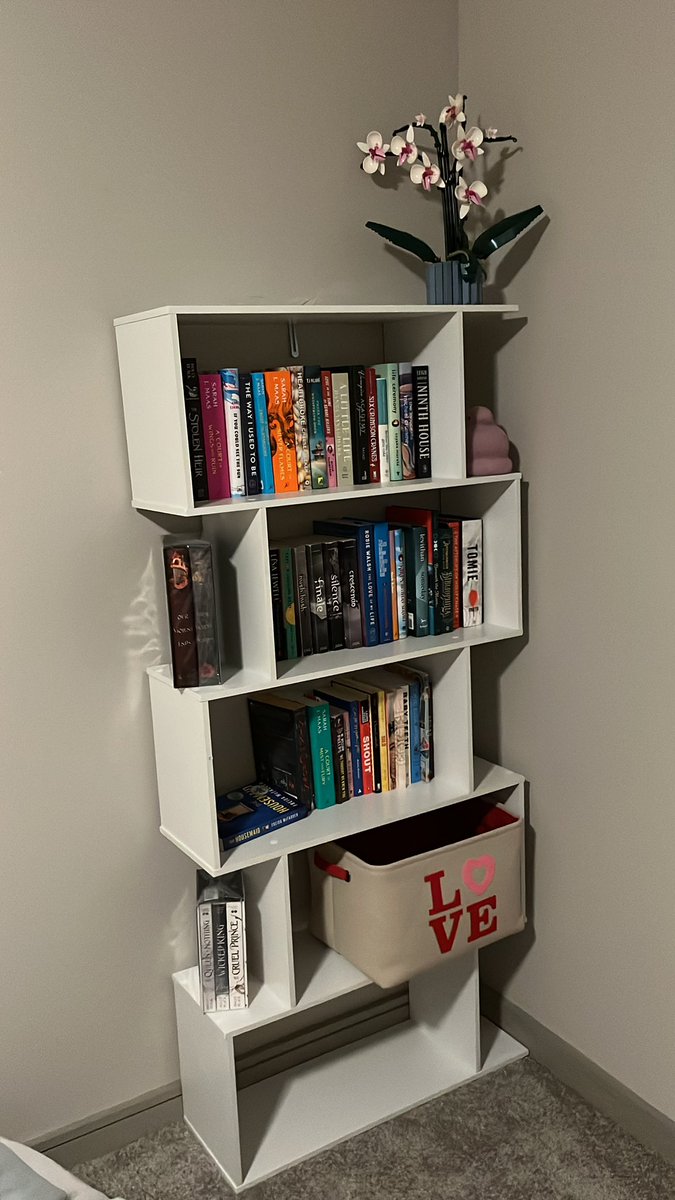 emeraalds's tweet photo. guys I came home to my bf creating me a reading corner 🥺 he built this bookshelf and moved all my books 🥺🥺🥺💖💖💖 https://t.co/BIBlE3a9En