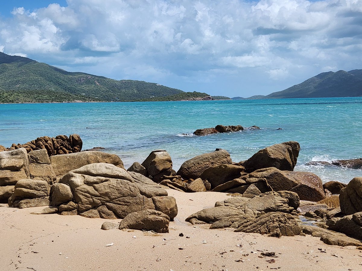 amarik2201's tweet photo. #dingobeach #whitsundays
A morning walk along the beach followed by a swim. 😍 https://t.co/noIG2JG50E