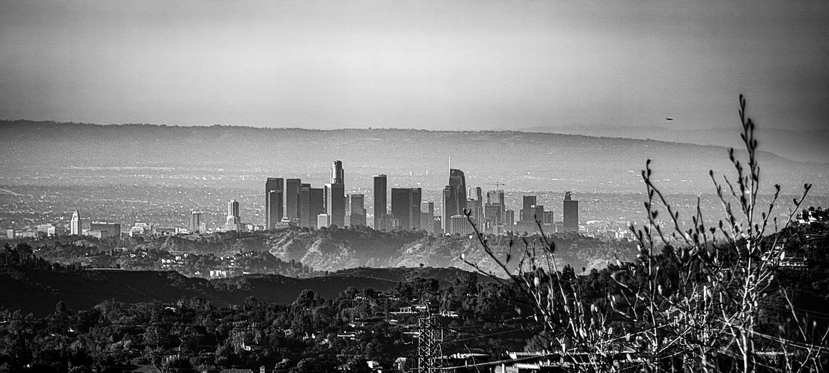 CineNationMedia's tweet photo. #Goodevening #Friends, #photographers, and #photographylovers.
Today, I'd like to do something different: Instead of the focus being through your lens, I'd love to have the focus be on you!
Let's have a #SoulSearchingSaturday, and would you please share what it is that drove you to pursue photography?
🙏😊📷
I'll♥️&🔄All!
In 2016, my mother, whom I cared for, passed away during corrective surgery following a 15-year battle with #PulmonaryHypertention. Growing up, I was taught she could be gone any moment, and it put a great deal of stress on me. She went in and out of hospitals uncountable times a year, and it got to where I had no life outside of home because I was so fearful of losing time with her.
She dreamed of traveling the world.
She wanted to walk when she lost the ability to, she wanted to work 2 jobs when she couldn't work any... I held her as her heart stopped, and it broke me to pieces. I was diagnosed that year with #PTSD and #BorderlinePersonalityDisorder.
5 years passed, and I was in a state of despair that seemed to be in control of my life, which began affecting those around me that I love.
I was blessed with my father looking after me, woke up one day, and told myself that I needed to see things differently and set off in my car. At first, I just knew I wanted to go see the things my mother told me she wanted to see, the mountains, the desert, the grand canyon. The palm trees under the southern California sun with the ocean breeze on her face... she couldn't see them.. she couldn't leave home and her oxygen.. but I could. So I did this, and I made as many memories as I could and while doing it discovered that no matter how much toil or pain my body was going through, the strength that she gives me with every step is all I need.
Now, I look to the future and take every step and breathe with confidence and courage, and appreciation, knowing I have found my place in this world.
Sharing sights and stories with all the people I meet.
#PhotographyIsArt