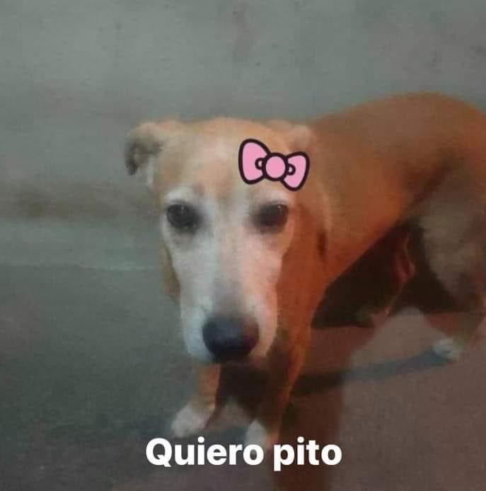 mi mamá: ay esa amiga tuya q tienes se ve q es bien tranquila
mi amiga: