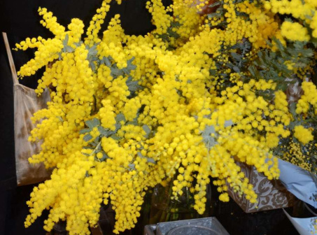 社内は男女の差はなくなってきている。組織のトップがジェンダー平等にコミットすると本当に変化するのだな、と感動した（南さつま市・４０代男性）＃国際女性デー2023 ＃南日本新聞 ＃地域からジェンダー平等 ＃働くモヤモヤ
373news.com/_news/storyid/…