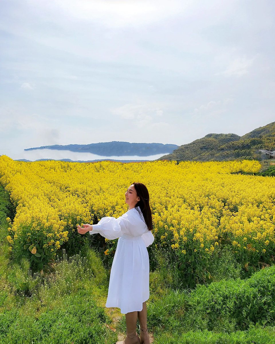 megusan426's tweet photo. 【𝐒𝐇𝐄𝐈𝐍 白ワンピ】※動画あり
megmeg426 👈️他のおしゃれ投稿
.
.
さくらも菜の花も大好き♡
コントラストがきれいだった。
.
.
毎年 買ってしまう白ワンピ
今年は𝐒𝐇𝐄𝐈𝐍のだよ。
.
あと、メイ… https://t.co/jVOcJJLsOo https://t.co/8QOilxmNTn