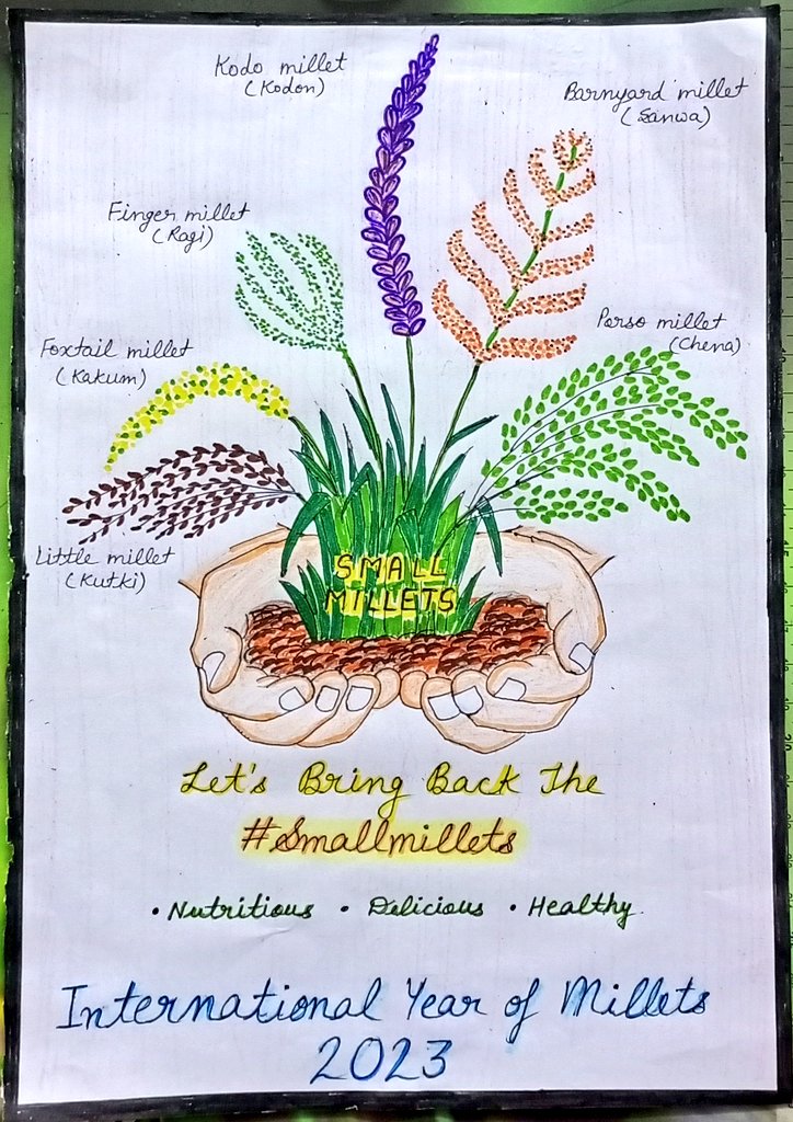 Sanjana29644128's tweet photo. My first Millet art is devoted to bring back the millets in everyone's platter. The poster showing the group of small millets represented by six species.#smallmillets
@icarindia https://t.co/9QhUy5nQgz