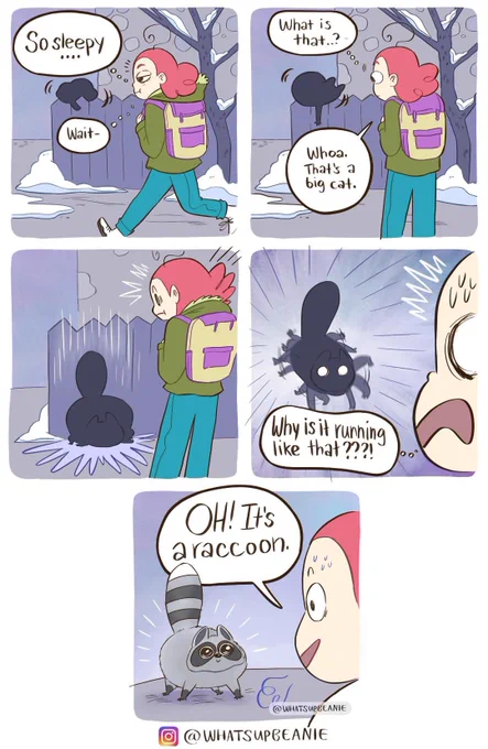 That one time I thought I saw a cat 