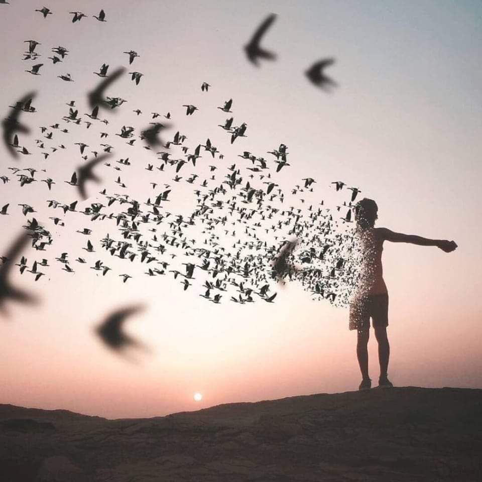 صباح الخير تمسك بأحلامك ولا تترك بداخلك مكانا لليأس وقل مرحبا بالبدايات الجديده