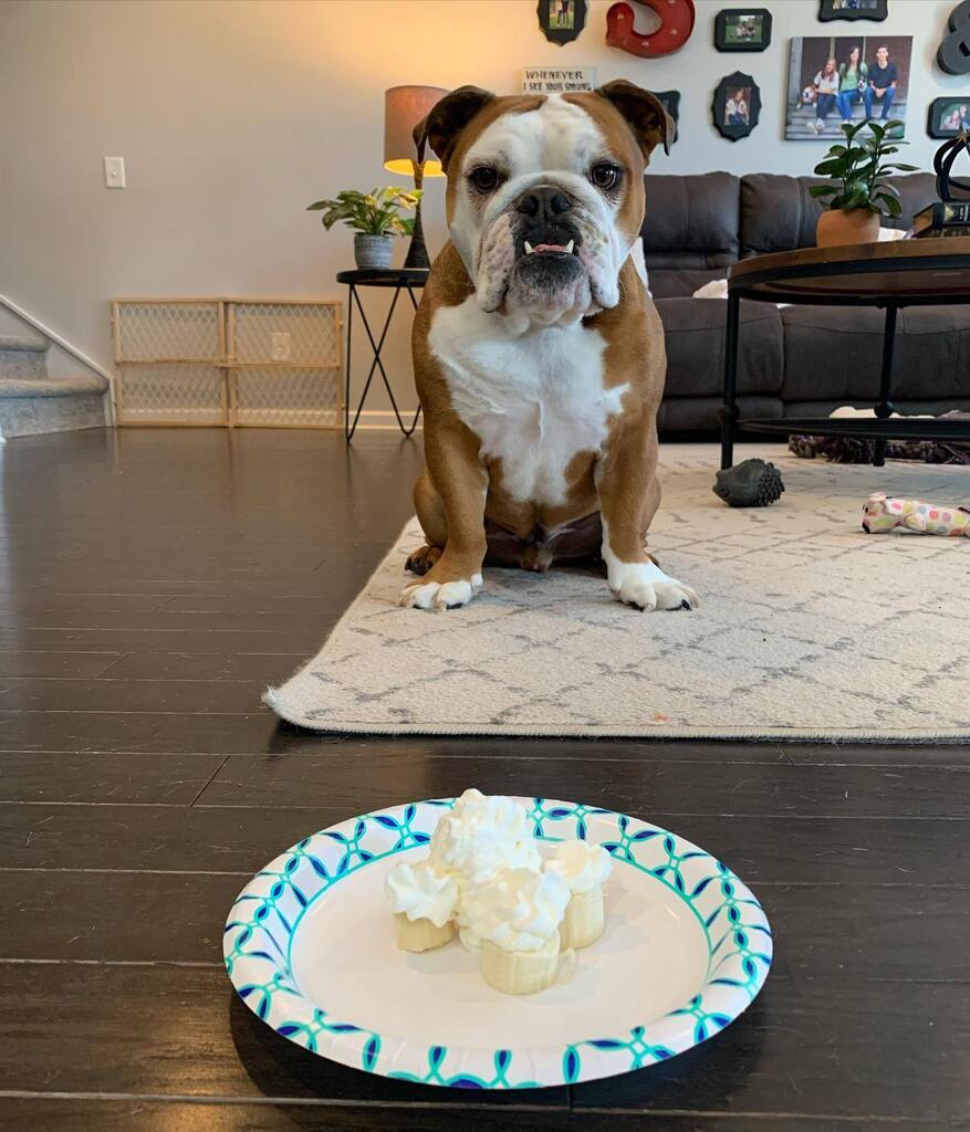 WITH the Swains tweet media