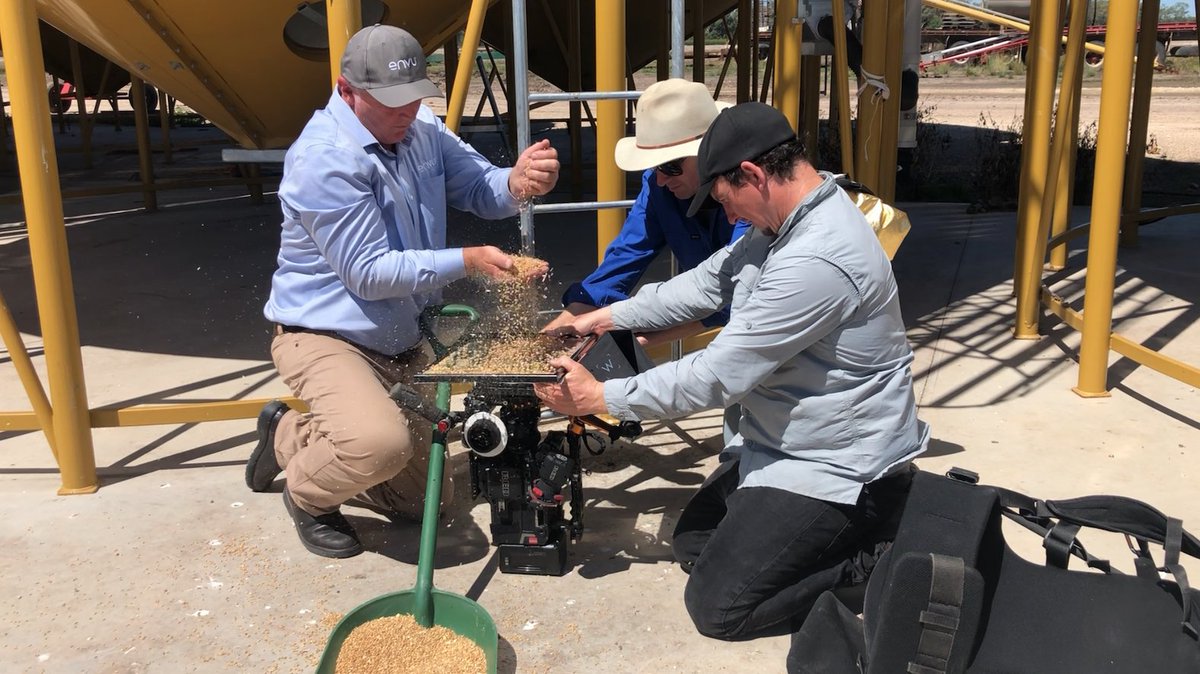 cussonsmedia's tweet photo. The team headed north of Dalby this week to capture footage in and amongst silos and sorghum crops for videos on a grain protectant. We can’t wait to see the final product 🚜🌾🌞

#australianagriculture #videocontent #remotefilmingsolutions #macalister #westerndowns https://t.co/tk1YKGclFw