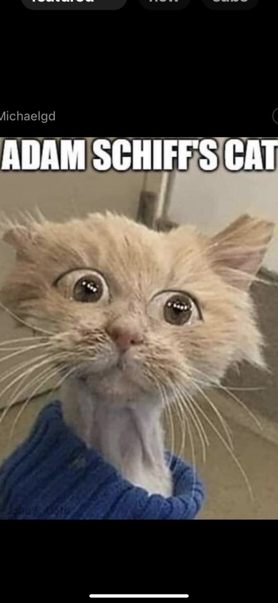 🤣🤣🤣🤣🤣