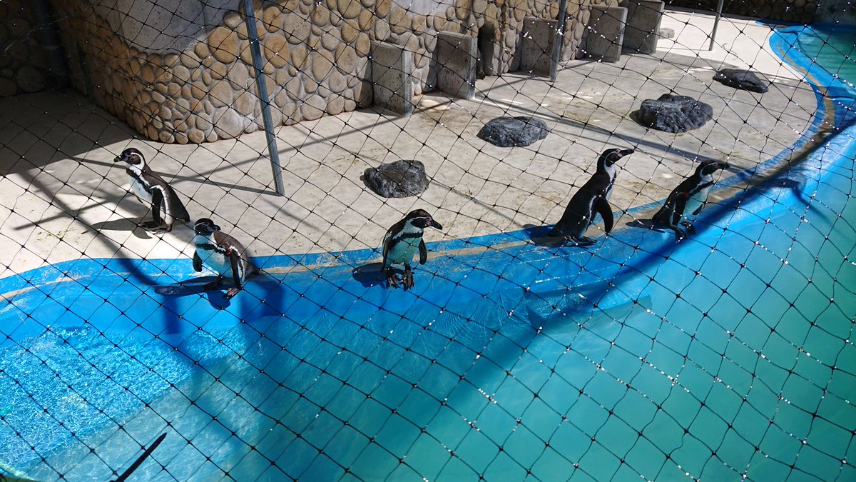 桐生が丘動物園