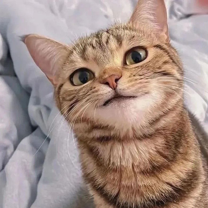 #新個人資料相片