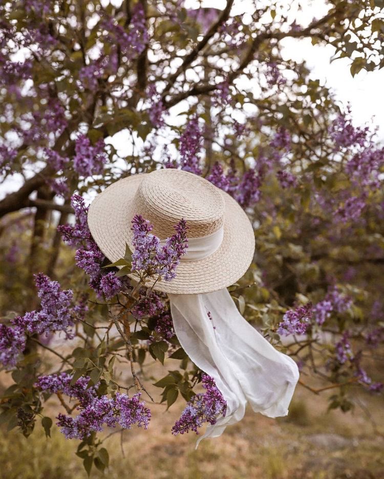 ᓆgɹ̈ tweet media