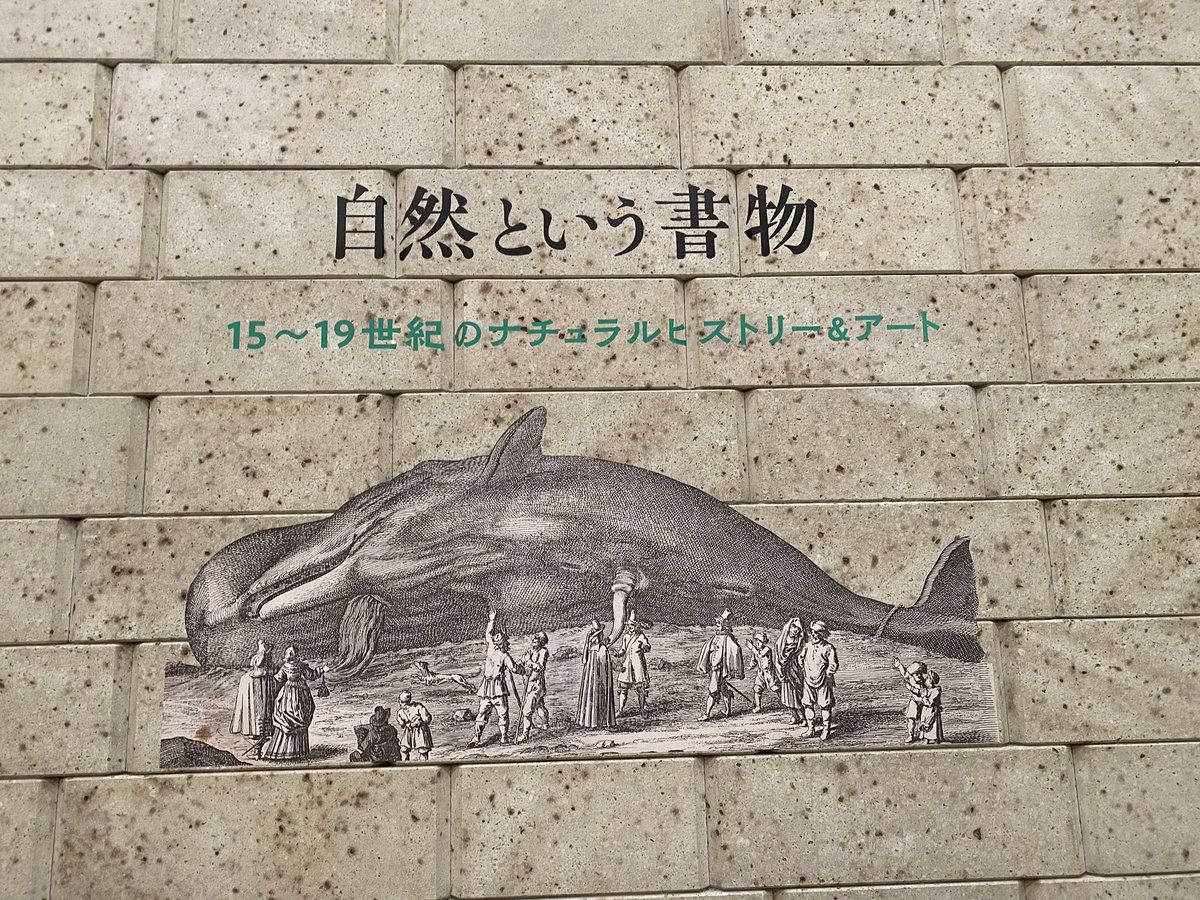 図録/自然という書物 町田市立国際版画美術館2023 | clinicaversalles