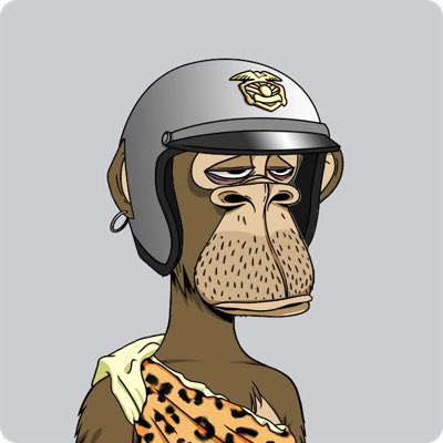 maverick23NFT's tweet photo. Bored Ape Yacht Club https://t.co/soYoGxb1g3