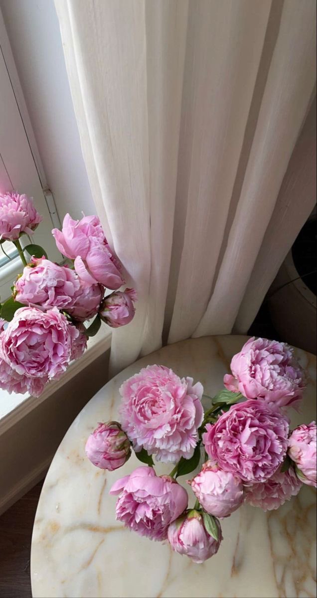 ᓆgɹ̈ tweet media