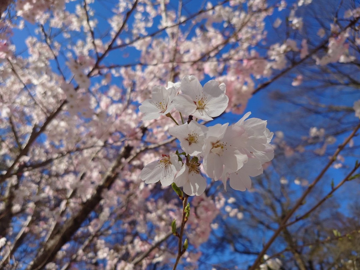 天気良いですね