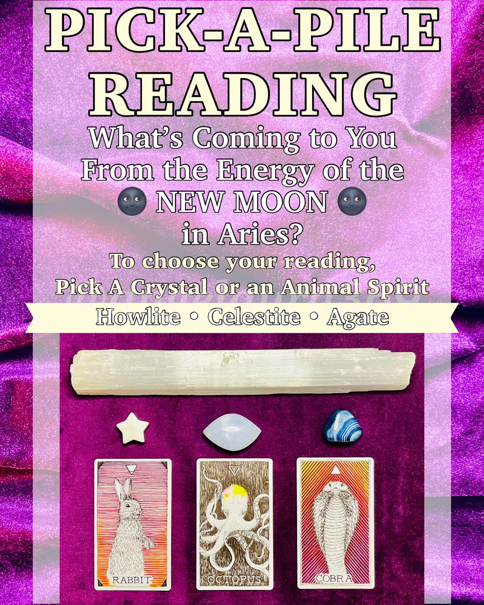 🌙Let’s get into this #NewMoon Energy!🌚

💎Pick a Crystal OR an Animal Spirit🦁

They’re connected to tarot readings that answer the following question:

🌚What’s Coming to You From the Energy of the New Moon in Aries?🌚

Choose Wisely 🔮