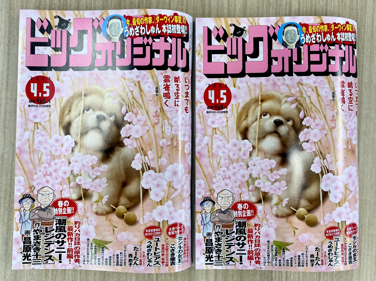 【ビッグコミックオリジナル本日発売】

王の信頼を失ったクロムウェルは…!?
こざき亜衣『セシルの女王』
巻頭カラー!

『ダーウィン事変』の
うめざわしゅん
ショートSF読切『ユートピアズ』

やまさき十三/昌原光一
読切前編!

ビッグコミックオリジナル7号、本日発売!
https://t.co/6M4VrGvZ5S 