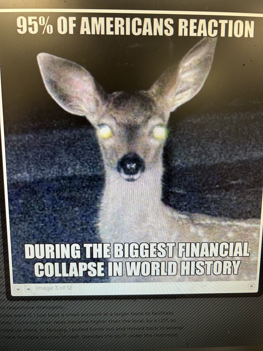 ArmorLine's tweet image. 