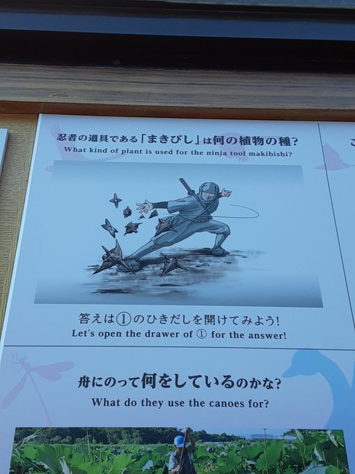 アイエエエエエ！？非人道兵器マキビシ！！実際強力でありこれならばさしものニンジャスレイヤーも……グワーッ！！ 