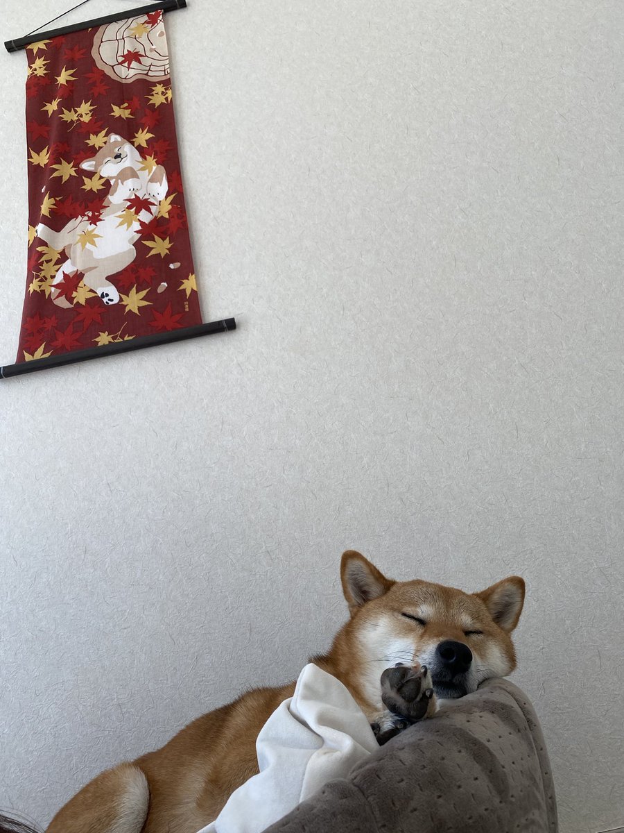 kinaco0825's tweet photo. 一 一
    ゜ https://t.co/CO7FTVytgW