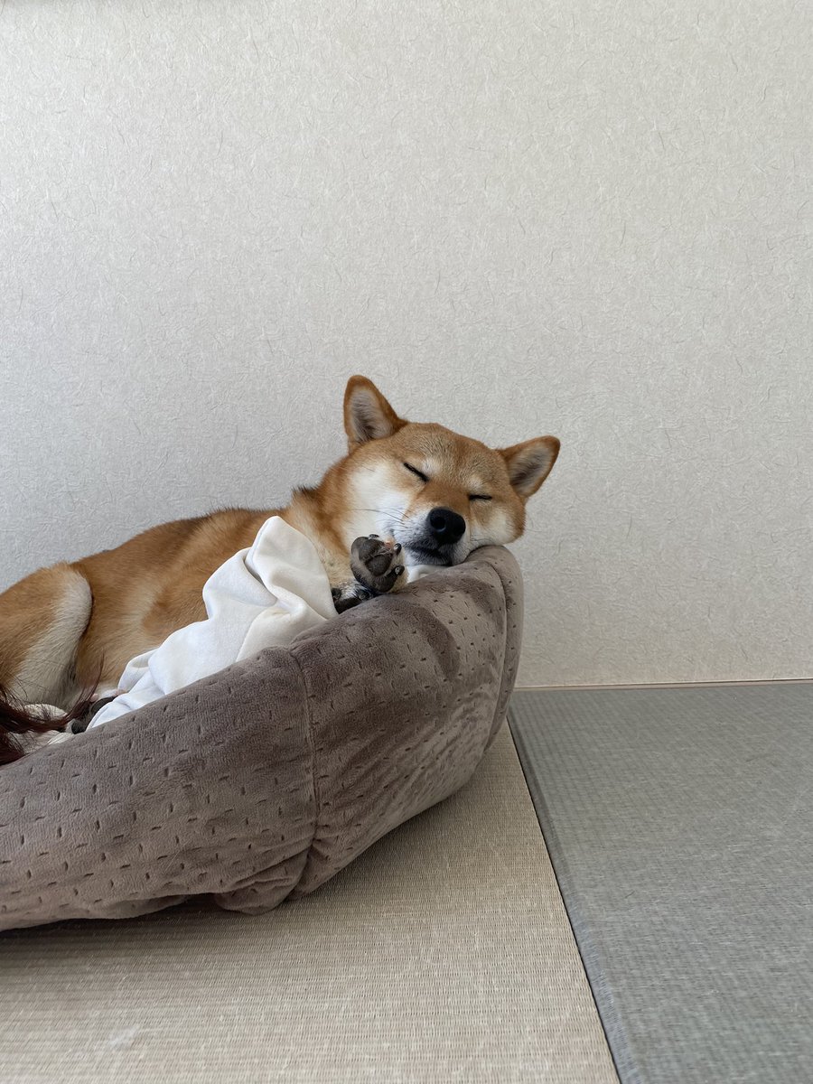 kinaco0825's tweet photo. 一 一
    ゜ https://t.co/CO7FTVytgW