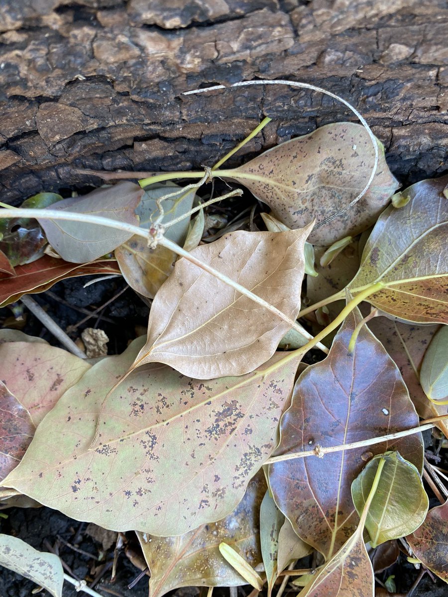 I'll Remember April
#日曜のほとり
#ひとりで生きると決めたんだ