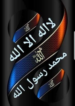 طائر الحب الحزين tweet media