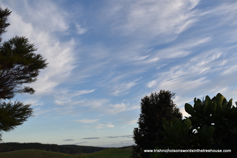 TrishaNicholson's tweet photo. Trees watch feather dusters serenely stroke the sky.
#skyscape #trees #flightsoffancy https://t.co/f8i4FgPD0v