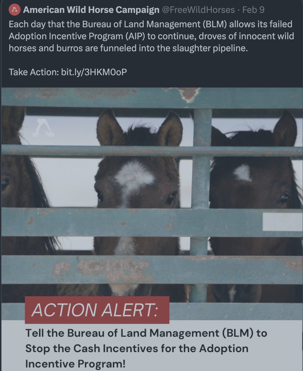 yixuac10's tweet photo. The adoption of animals cannot be based on financial incentives, which is a huge amount of work for animal protection as well as rescue. Therefore, the root cause of the phenomenon needs to be addressed.  Find more information in "American Wild Horse Campaign" #39canimals https://t.co/ah3CGB9zoz