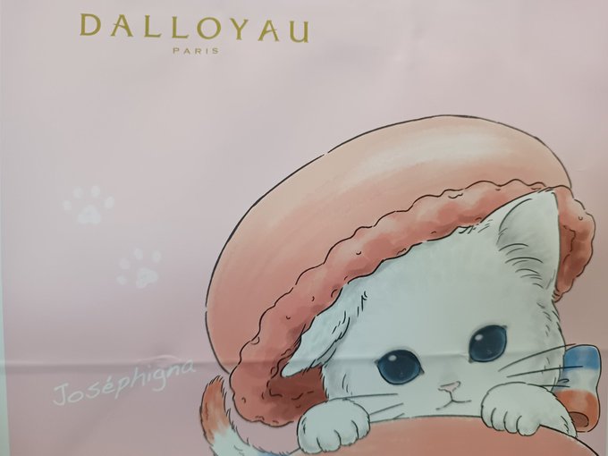 姪っ子から貰ったが、DALLOYAU、あざとくない…!? 