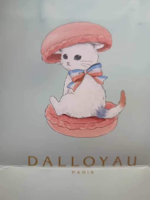 姪っ子から貰ったが、DALLOYAU、あざとくない…!? 