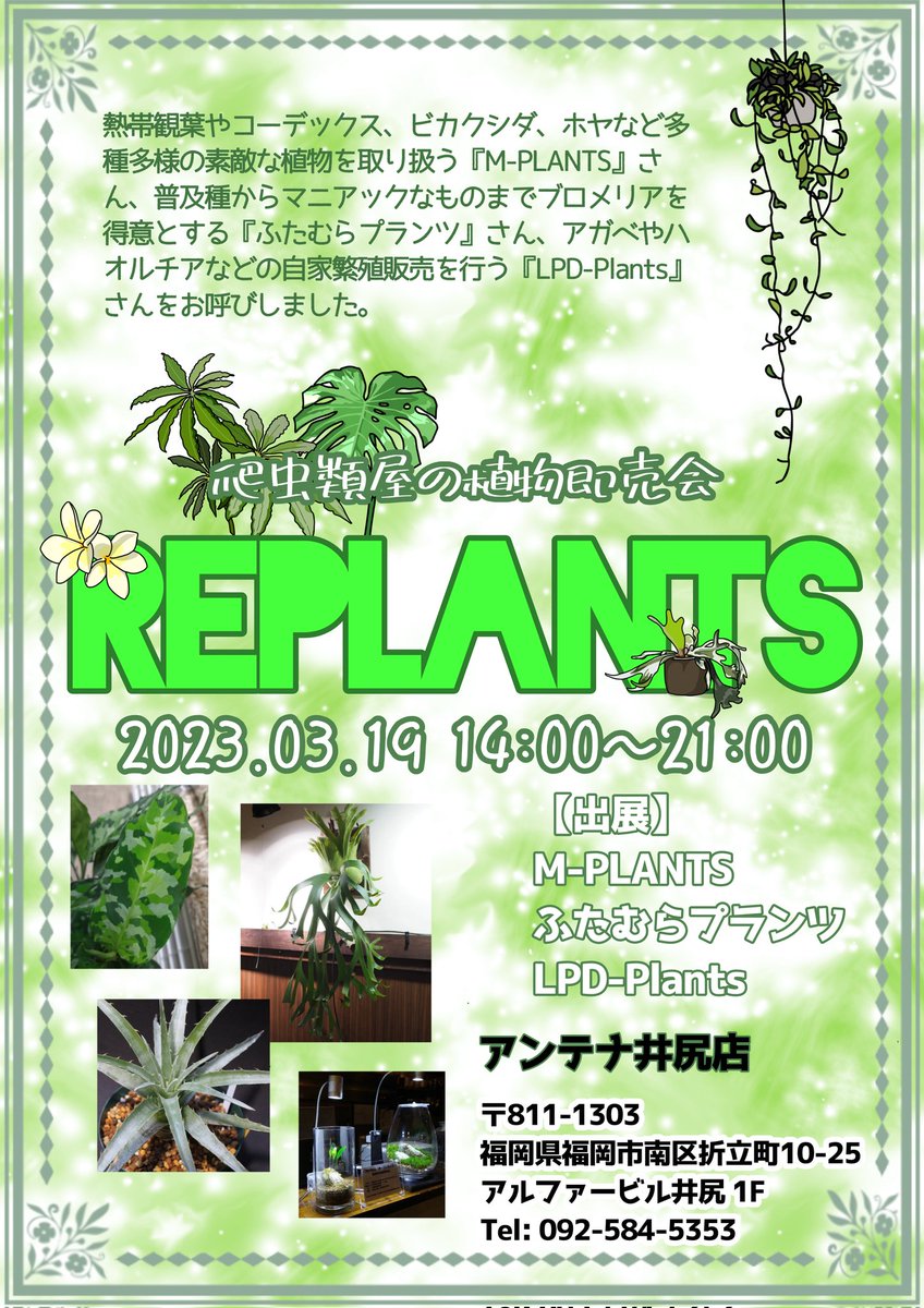 antenna0830's tweet photo. 【#REPLANTS】
各出店者の設営完了しました!
オープンまでもうすぐ🌿🌿🌿 https://t.co/6PgYxERVma