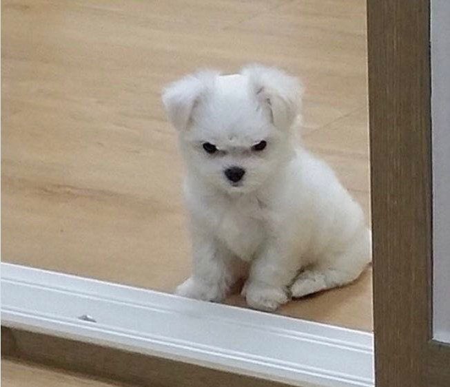 Topprincejw's tweet photo. https://t.co/W6yjbPco3u