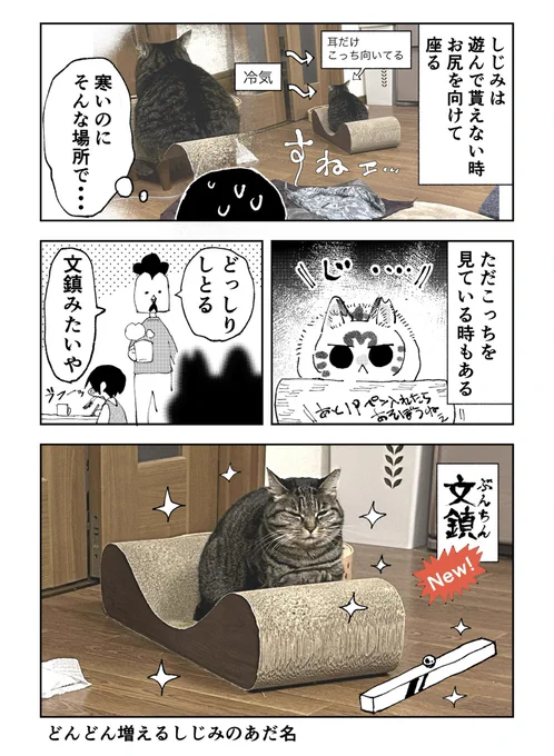 3本足のしじみちゃん191 