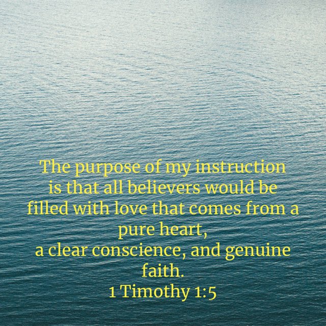 questjn14's tweet image. It is amazing what capacity for love you have , when you have a clear conscience and are deeply loved #lovedpurely #clearconscience bible.com/bible/116/1ti.…