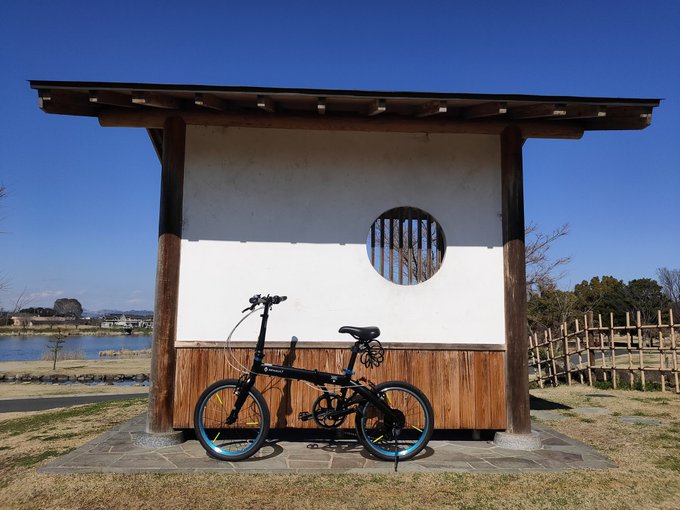 昨日はキマリのお誕生日だったので今日は自転車積んでつつじヶ丘公園で念願の写真撮ることが出来ました＼(^o^)／今日は鯉の