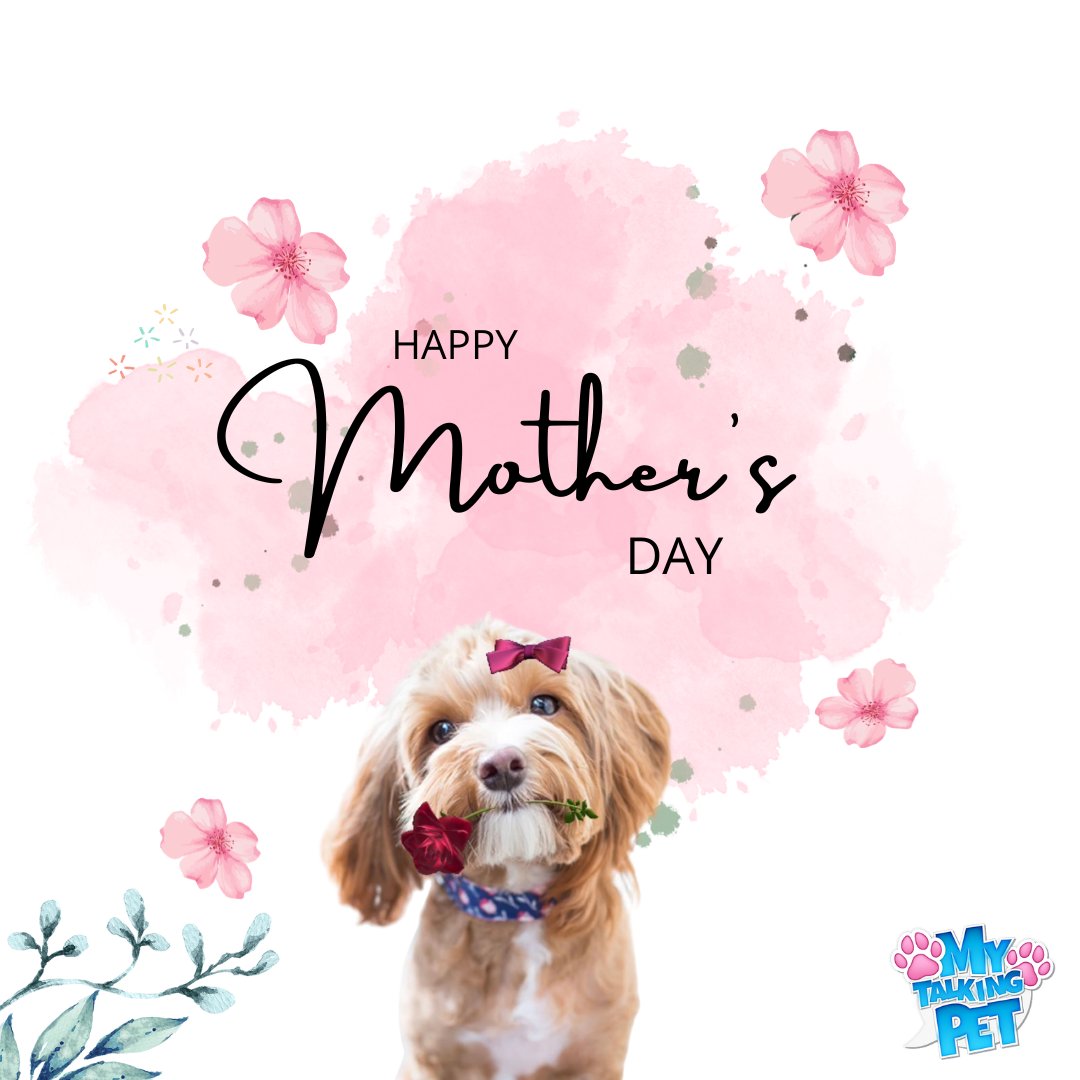 🌸 𝐻𝒶𝓅𝓅𝓎 𝑀𝑜𝓉𝒽𝑒𝓇'𝓈 𝒟𝒶𝓎🌸 
Send your mom some furry cheer with My Talking Pet 🎉