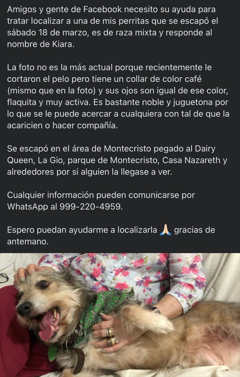 Diosito lo único que te pido es que regrese Kiara 🙏🏻 si alguien puede apoyar se lo agradecería mucho