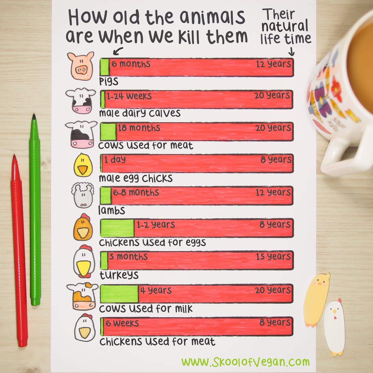 herbivore_club's tweet photo. How old the animals are when we kill them...

🎨 School of vegan https://t.co/7dyfK60xG1