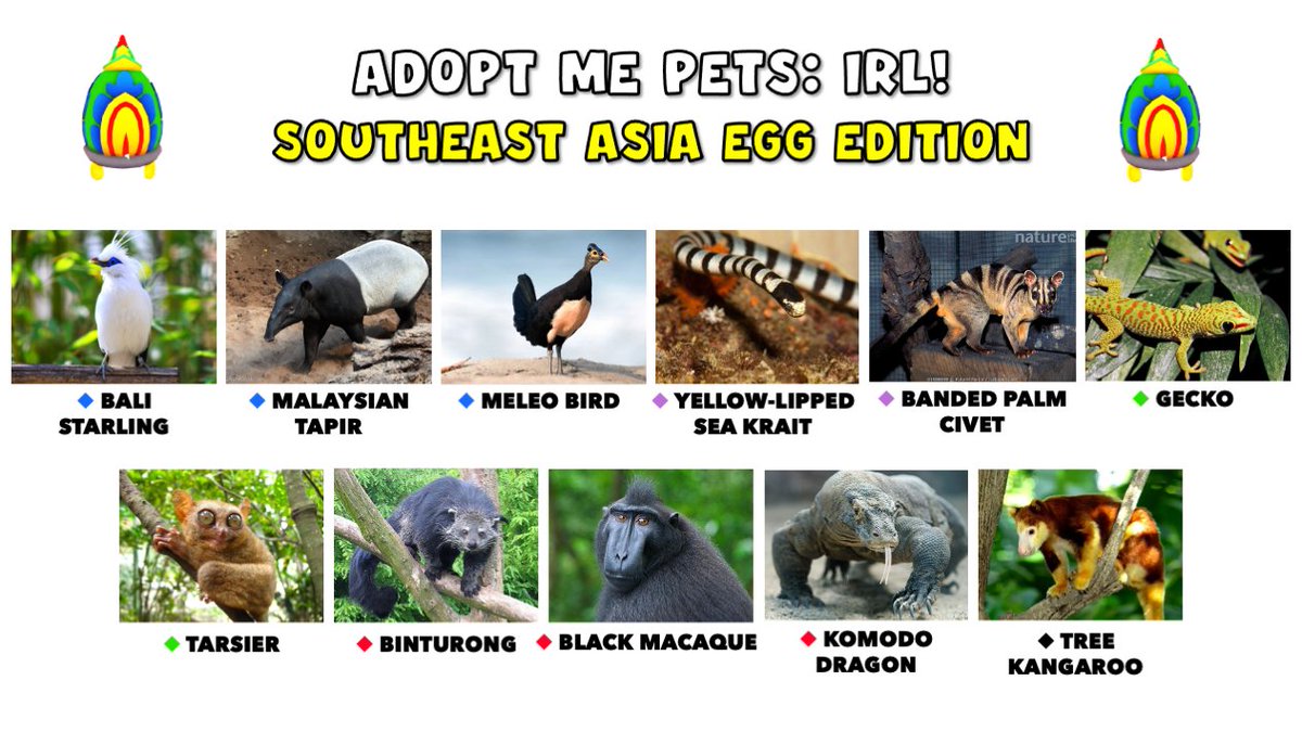 Calculus on X: ADOPT ME PETS: IRL! SOUTHEAST ASIA EGG 🥚 Which